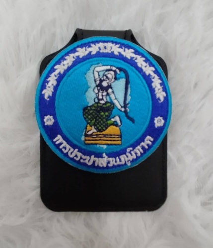 อาร์มแม่เหล็ก